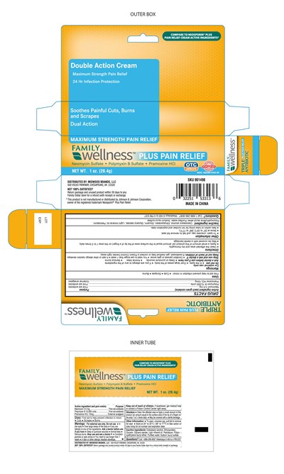 Triple Antibiotic Plus Pain 3 (Triple Antibiotic Plus Pain  3)